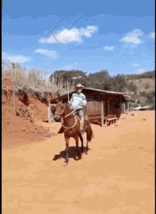 Cavalo Cavaleiro Roca Fazenda GIF - Cavalo Cavaleiro Roca Fazenda Mim GIFs