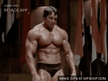 Reface Arnold GIF - Reface Arnold GIFs