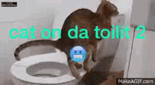cat toilet cat toilet impulse hl2rp