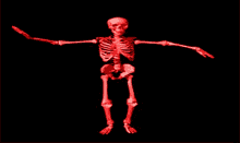 Skeleton Dancing GIF - Skeleton Dancing Animation GIFs