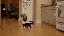 a skunk is running in a kitchen with a refrigerator in the background