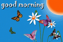 Good Morning Good Day GIF - Good Morning Good Day Butterflies GIFs