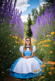 a woman in a blue dress sits in a field of flowers