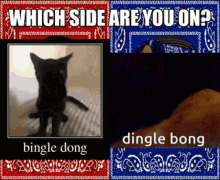Dingle Biongle GIF