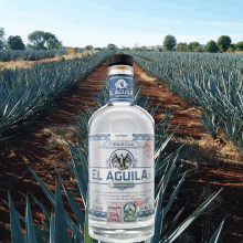 Tequila El Aguila Stamp GIF - Tequila El Aguila Stamp Fields GIFs