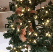 Cat Christmas Tree GIF