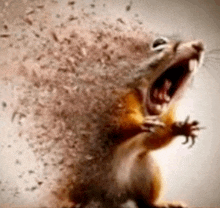 a squirrel with its mouth open and a lot of dust coming out of it