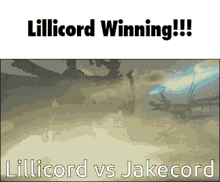 Lillicord Fight GIF - Lillicord Fight Awesome GIFs