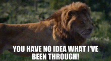 The Lion King Simba GIF - The Lion King Simba You Have No Idea What Ive Been Through GIFs