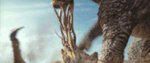 a close up of a dinosaur 's tail with a rope hanging from it