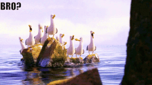 Findingnemo Seagulls GIF