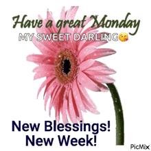 have a great monday my sweet darling new blessings new week !