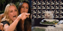 two women pointing at a cat next to a casserole dish