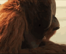 Glance GIF - War For The Planet Of The Apes Hmm GIFs