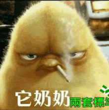 a cartoon chicken is smoking a cigarette with chinese writing on it