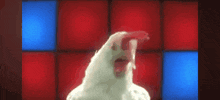 a chicken is standing in front of red and blue squares