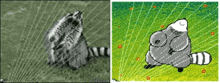 Raccoon Animation GIF - Raccoon Animation GIFs