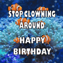 happy birthday stop clowning around clownfish 3d gifs artist