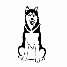 Husky Dog GIF - Husky Dog Moonmoon GIFs