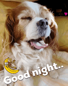Goodnight Nighty GIF - Goodnight Nighty Yawn GIFs