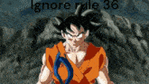 Goku Rules GIF - Goku Rules Rule 36 GIFs