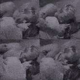 a black and white photo of a man and a woman laying on a bed