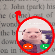 a picture of a pig talking on a phone with the words john pork is calling