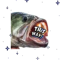 a fish with its mouth open and a sticker that says this way
