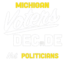 vote michigan election election rigged election not politicians