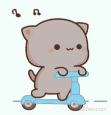 cat cute scooter animated happy