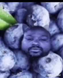 a man with a beard is surrounded by blueberries .