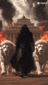 a man in a hood is walking with two lions in front of a burning building .