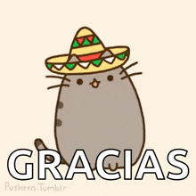 Cats Funny GIF - Cats Funny Mexico GIFs