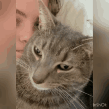 Earl Bonk GIF - Earl Bonk Cat GIFs