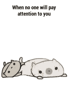 Attention Kitty GIF