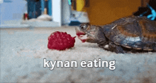 Kynan Slow Eat GIF - Kynan Slow Eat GIFs