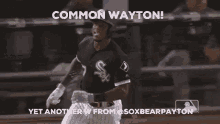 Soxbearpayton White Sox GIF - Soxbearpayton Payton White Sox GIFs