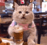 a cat is sitting at a table with a glass of beer in its paw .