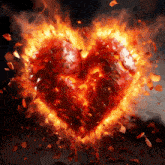 a burning heart with petals flying around it