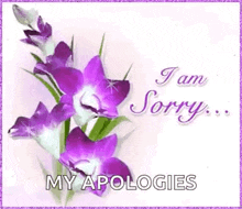Sorry Iamsorry GIF - Sorry Iamsorry Flowers GIFs