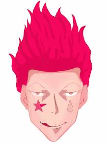 hisoka hunter