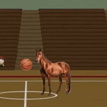 Horse Basketball Basket Horse GIF - Horse Basketball Basket Horse GIFs