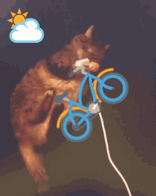 Funny Animals Biking GIF - Funny Animals Biking Kittens GIFs