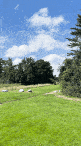 a field of grass with trees in the background and a blue sky