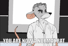 a cartoon of a rat with the words " you are now a normal rat "