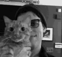 Cat Hug Cat GIF