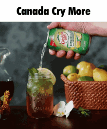Canada Dry Canada Cry More GIF