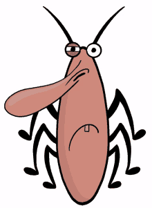 cockroach bug pest big nose cartoon