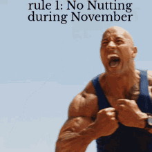 rule1 nnn the rock november meme