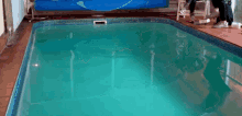 Pool Jump GIF - Pool Jump Dive GIFs